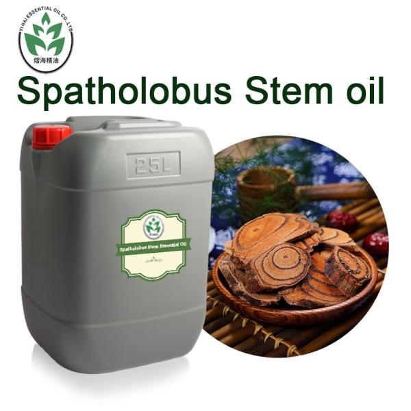 Therapeutic Grade Pure Organic Essential Oils Spatholobus Stem Essential Oil 5KG