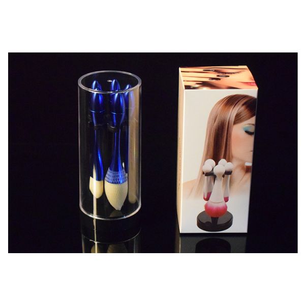 Classical Women Cosmetic Brush Set , Mini Makeup Brush Set OEM / ODM