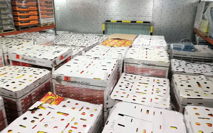 6500 замораживателя холодной комнаты еды рефрижерации R404a тонн водяного охлаждения