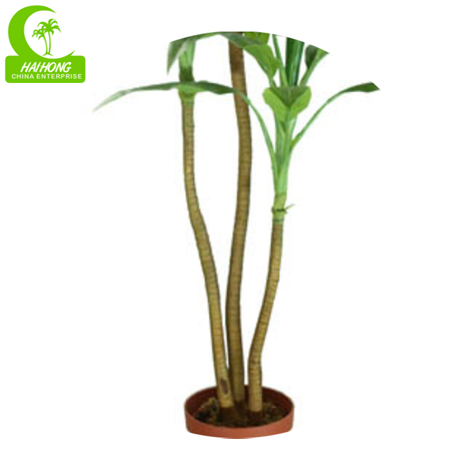 Dracaena Cornstalk Cracaena высококачественный искусственный с реальными листьями касания для горячей продажи