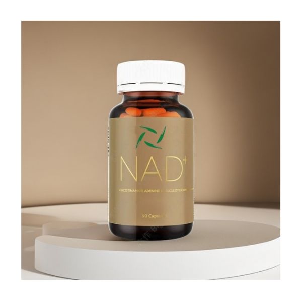 Wholesale OEM/ODM factory price Vegetarian Organic Private Label Customized Capsules