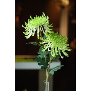 Wingflora Art&Craft Co., Ltd