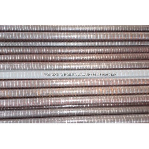 Quality Best 500 - 20000kg/h Oil Gas Fired Steam Boiler With Original Riello Burner