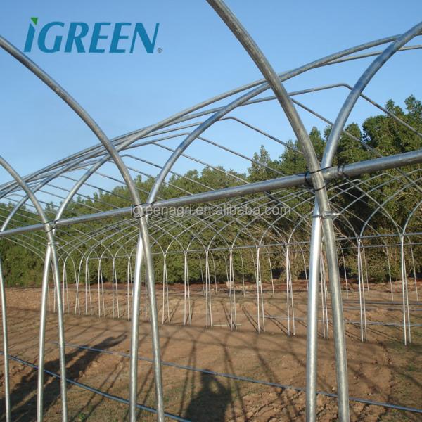 10m Tunnel Width Multi Span Greenhouse Steel Pipe Greenhouse For Hydroponic System