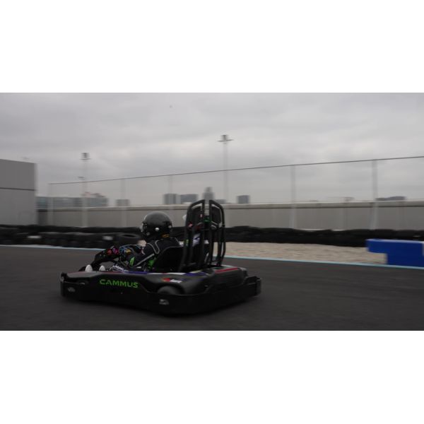 48V Motor Rated 3000RPM Lithium Battery Go Kart 2 Seats For Adult Kid