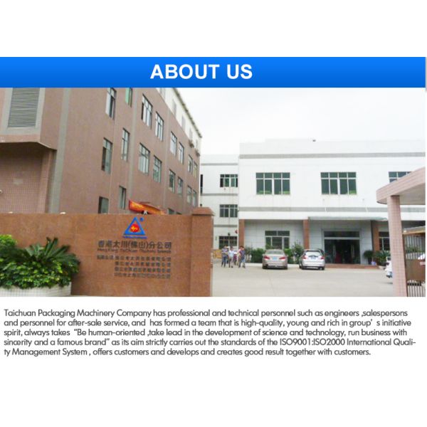 Automatic Screw Fastener Hardware Fittings Counting and Bagging Screw Packing Machine