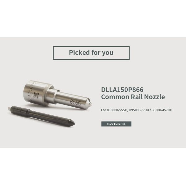 Denso Injector Repair Kit For Injectors 095000-555# / 831# DLLA150P866