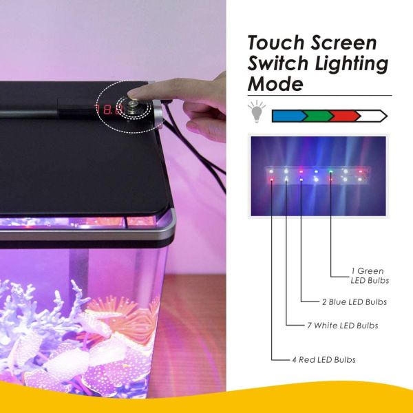 Smart 4 Gallon Desktop  Betta Office Fish Tank