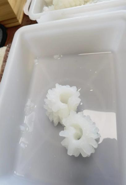 固定重量 新鮮 冷凍 イカの花 Dosidicus Gigas