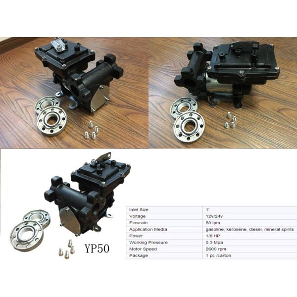12V/24V DC Hand Carry transfer pump