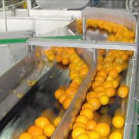 Citrino/linha de processamento alaranjada para a maquinaria da fábrica do suco da fábrica do suco de fruto