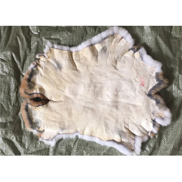 Color natural liso los 25*35cm de Brown de la piel del conejo de Rex de los accesorios de la guarnición de la capa