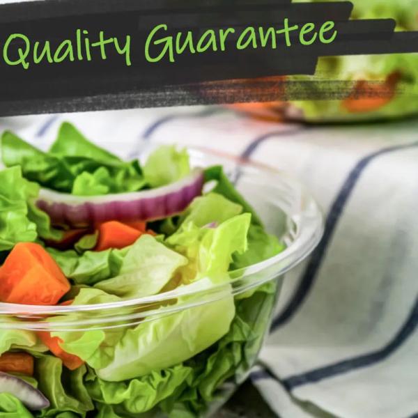 Recyclable Plastic Disposable Container Salad Tray Food / Fruit Bowl With PET Lid