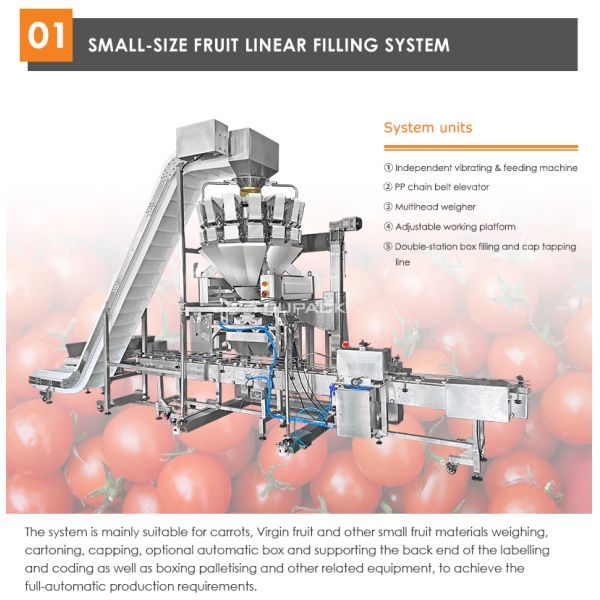 Automatic Cherries, cherry tomatoes, blueberries Fruit Clamshell Weighing & Packaging Line