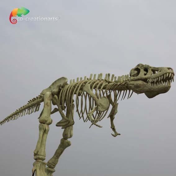 impermeabilizante das réplicas T Rex Skull do dinossauro da qualidade do museu do comprimento 15m