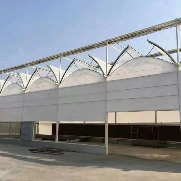 Cultivation Method Hydroponics US Regulated Glass Greenhouse for Vegetable/Flower/Fruit