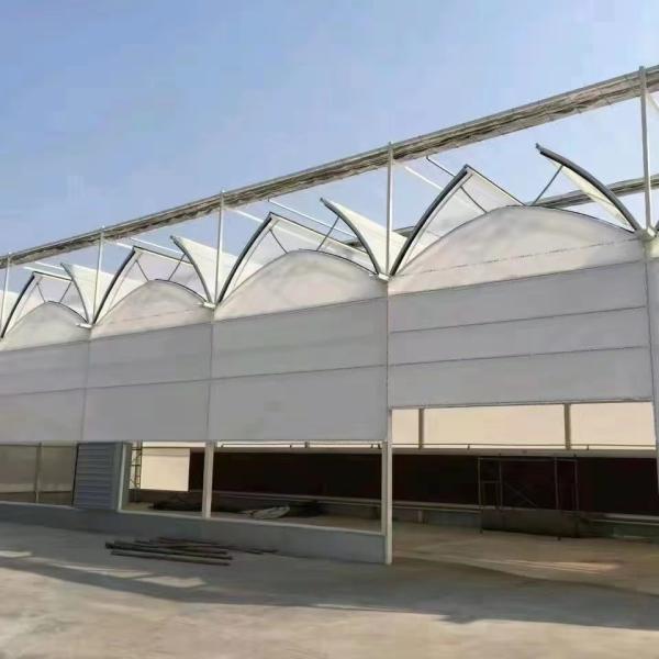 Juxiang Agricultural Nft Hydroponic Film Greenhouse para sistema de cultivo de vegetais