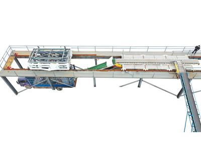 500-3000 pacotes/hora Máquina automática de transporte de sacos Sistema de máquina de transporte de sacos Mecanismo de caminhada