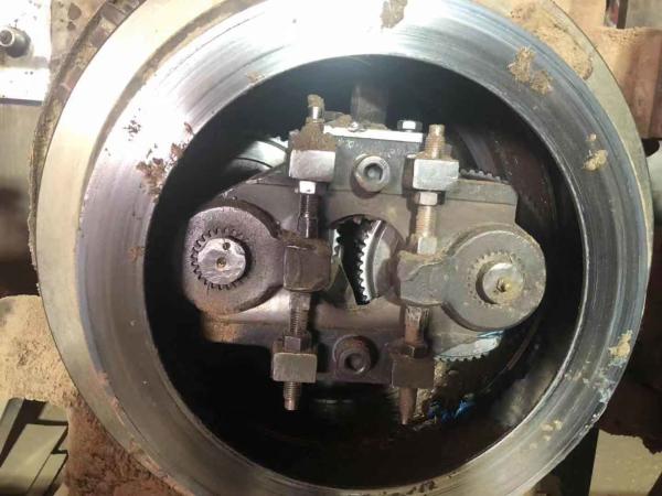 Complete Biomass Pellet Plant Ring Die Wood Press Thailand 5-6t/h