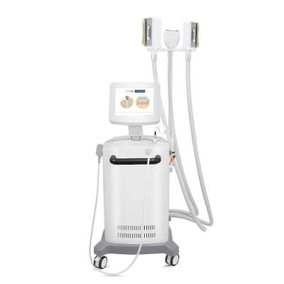 4 seguram a máquina do emagrecimento de Cryolipolysis