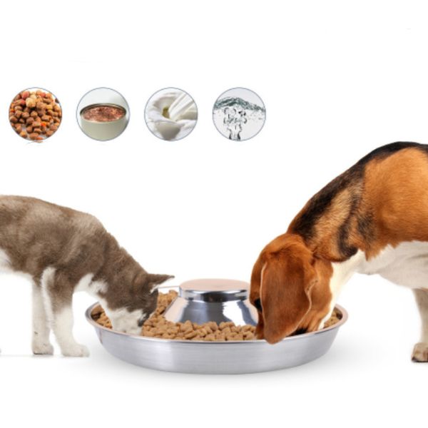 Stainless Steel Dog Bowl Puppy Slow Feeder Bowls For Food Feeding