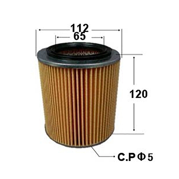 Элемент фильтра для масла для OEM 17220-PZ3-003 17220-PZ3-505 H1722-PZ3-003 Honda