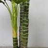 Artificial Golden Dieffenbachia Plant 43 Inch Tall Fake Tropical Lifelike Tree in Pot Silk Faux Dark Green Plant