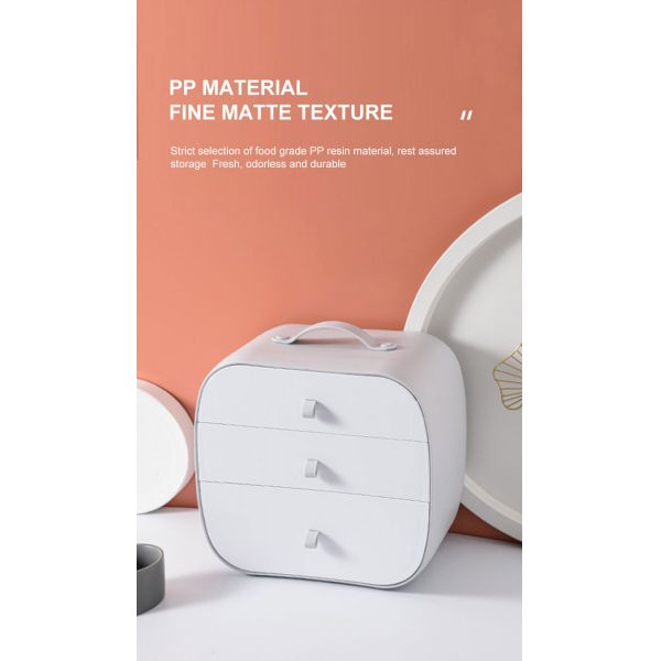 Convenient Storage Solution Dust-Proof Plastic Storage Box for Underwear and Socks