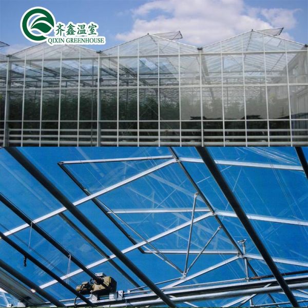 Customized Canada Tunnel Greenhouse Garden Tunnel with Glass or PC Sheet
