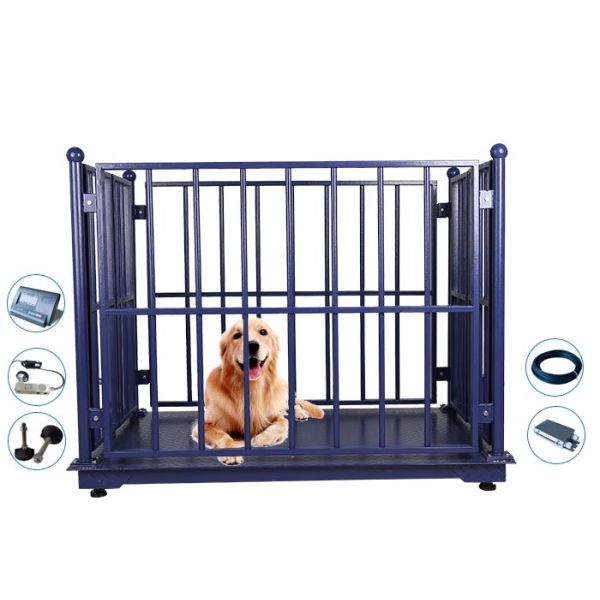 масштабы овец 3000kg цифров веся, машина козы веся с замком