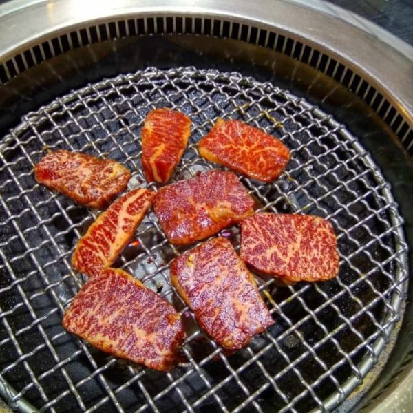 Portable Stainless Steel Grill Mesh Grilled Meat Netting Handle version