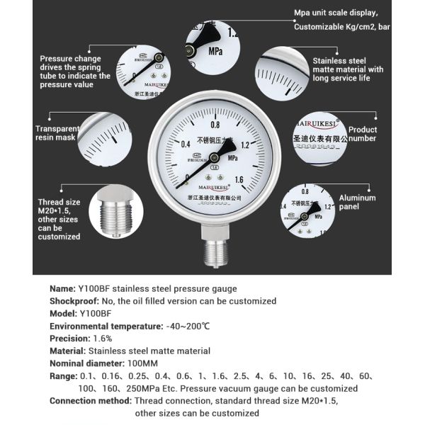 Customized Stainless Steel Pressure Gauge for OEM Mpa Scale LPG 100mm Pressure Test Gauge
