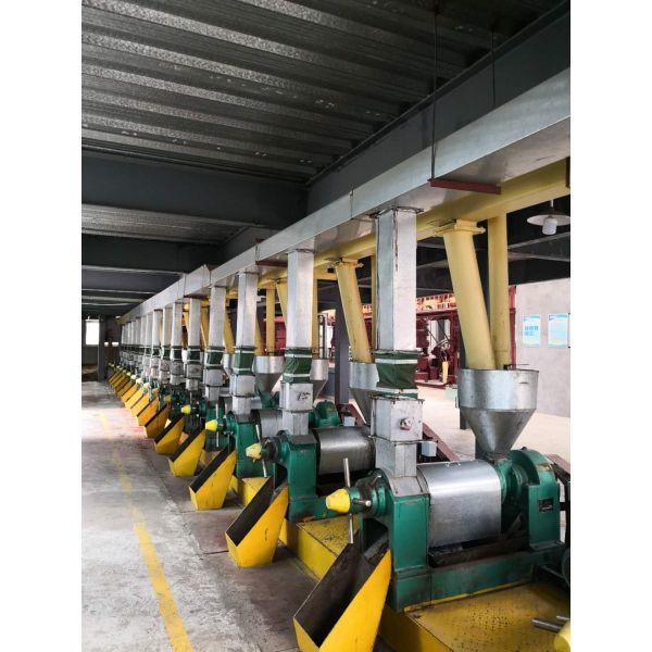 High Oil Yield Hot Oil Press Machine Cooking Oil Making Machine Palm Oil Milling Machine
