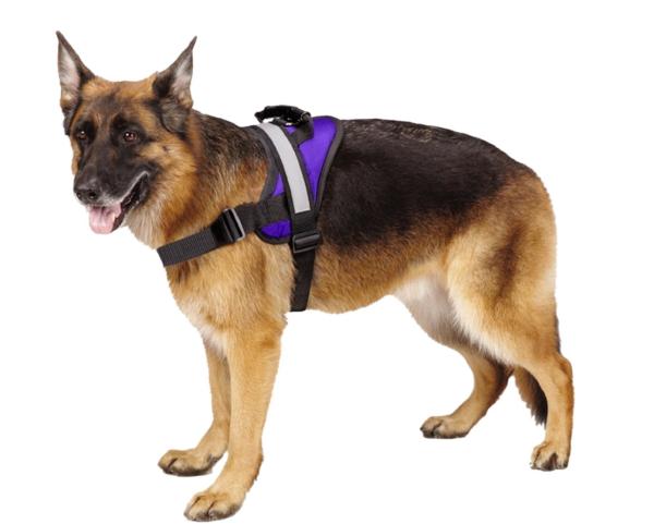 Durable K9 Dog Vest Harness Soft Reflective No Pull Vest With Rubber Handle