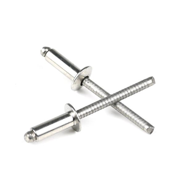 Customized Support for Stainless Steel Domed Countersunk Head Blind Rivets in 304/316