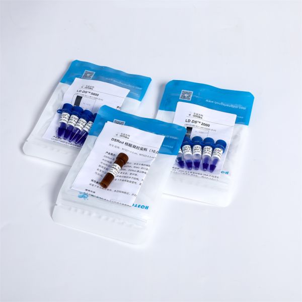 Нуклеиновая лестница LM111 электрофореза отметки ДНК LD DS 5000 кислотного красителя