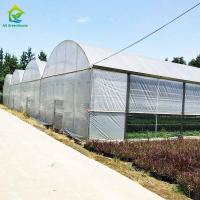 Estufa industrial comercial agrícola do filme plástico com sistemas completos