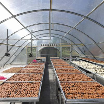 O peixe do túnel frutifica folha do policarbonato do painel solar da estufa do respiradouro do lado do secador