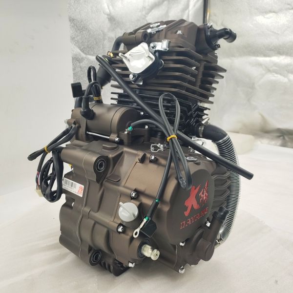 Fit ATV UTV Tricycle Motorcycle Engine Assembly for DAYANG LF 300cc Water Cooled