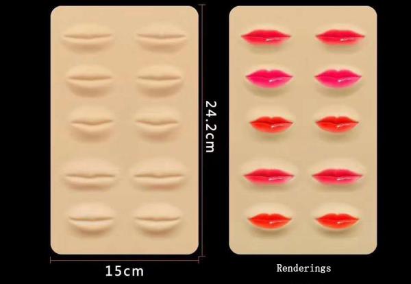 Sobrancelha de borracha da tatuagem dos materiais da prática que cinzela a composição permanente vazia de couro do silicone 3D dos bordos para o treinamento da UGP