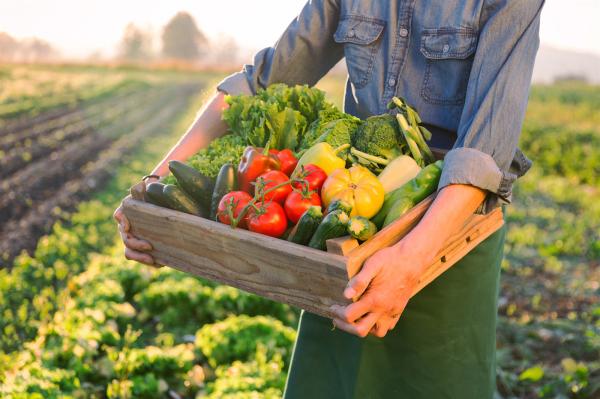 Le rythme de l'agriculture régénérative