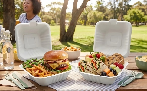 9x6 Disposable Bagasse Clamshell Containers Burger Box Water Resistant