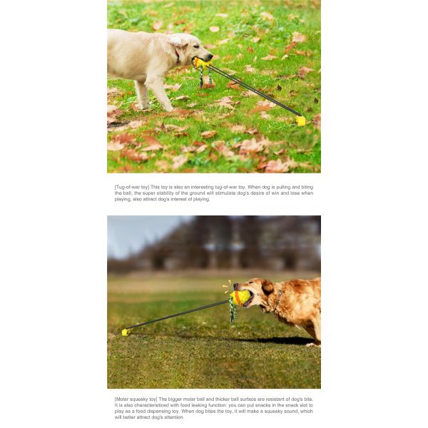 Elastic Plastic Cute Pet Toys Outdoor Water Dog Chewing Ball