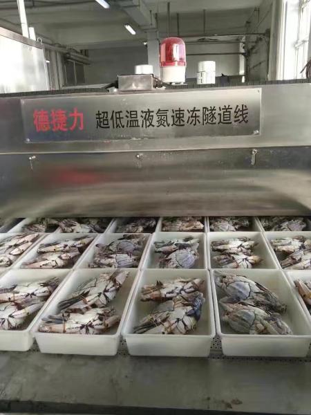 800KG/Hour 1000kgs/Hour Liquid Nitrogen Tunnel Freezer Quick Freezing Machine Ln2 OEM