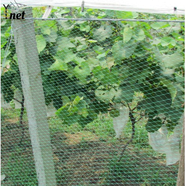 Redes de protección contra aves de PP para jardines agrícolas de plástico