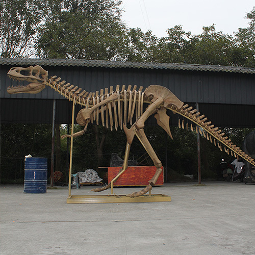 Artificial Life Size Largest Tyrannosaurus Rex Skeleton Fossil Model Dinosaur Skeleton Replica