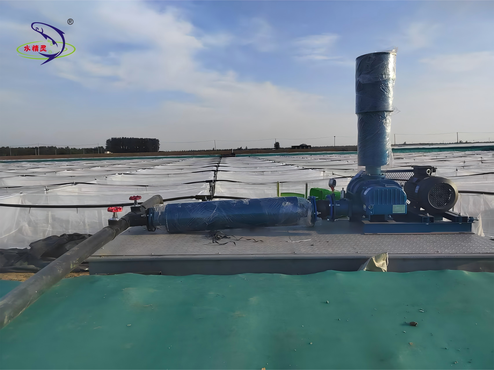 5.5kw Roots Blower Paddle Wheel Aerator Type for Aquaculture Sewage Aeration