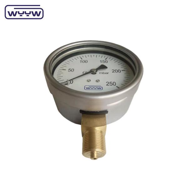 China factory capsule pressure gauge 100mm mbar ss case brass connection 1/2bsp cmh2o low pressure manometer