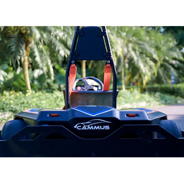 Ребенок 3000RPM электрический идет Kart на подросток 1280*880*400mm