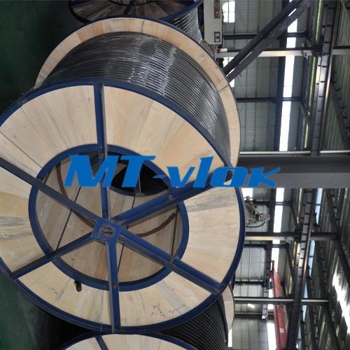 TP304/304L soldou a tubulação enrolado de aço inoxidável para multi - tubo de núcleo